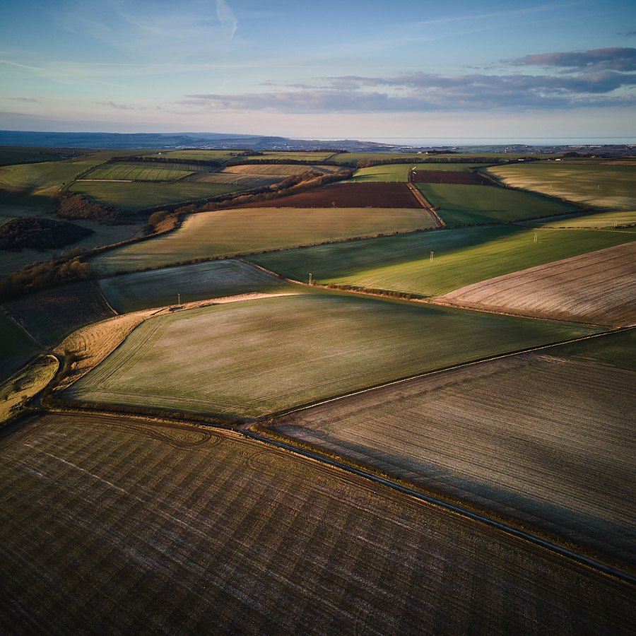 Fields of barley surrounding Spirit of Yorkshire distillery