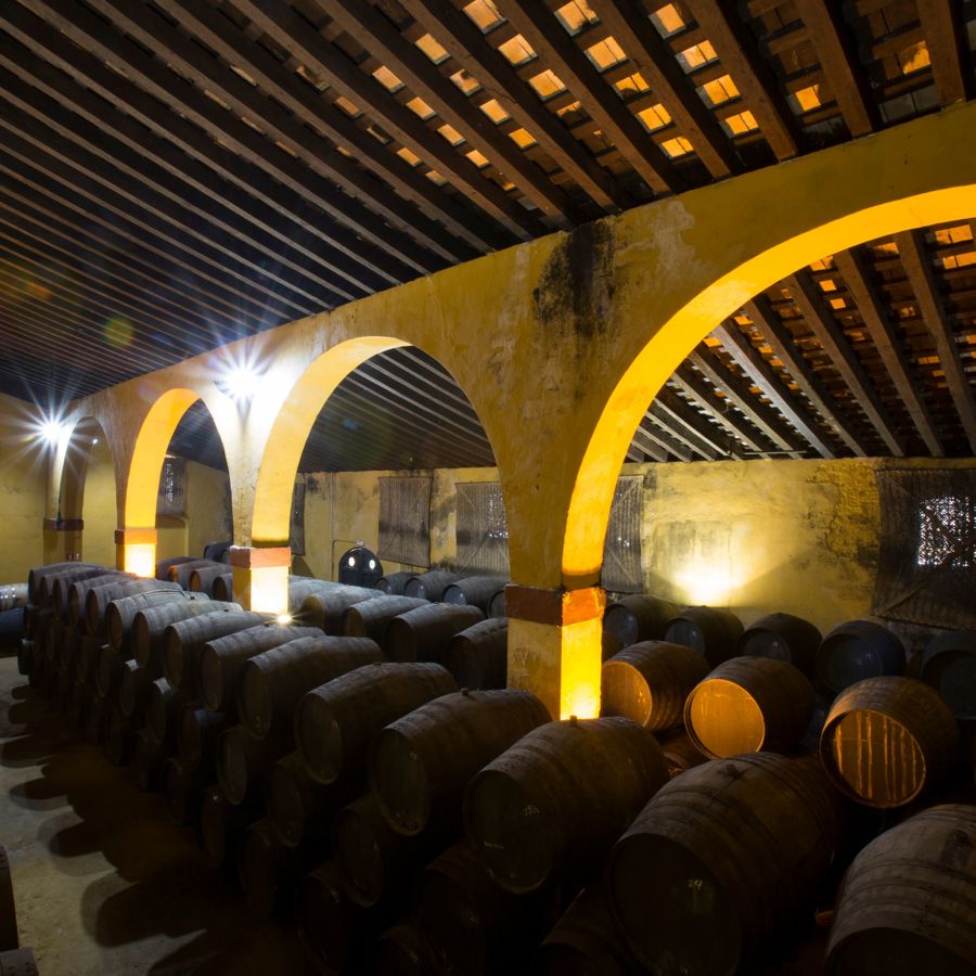 Sherry casks at bodegas Fernando di Castilla, highly sought after for finishing single malt whisky