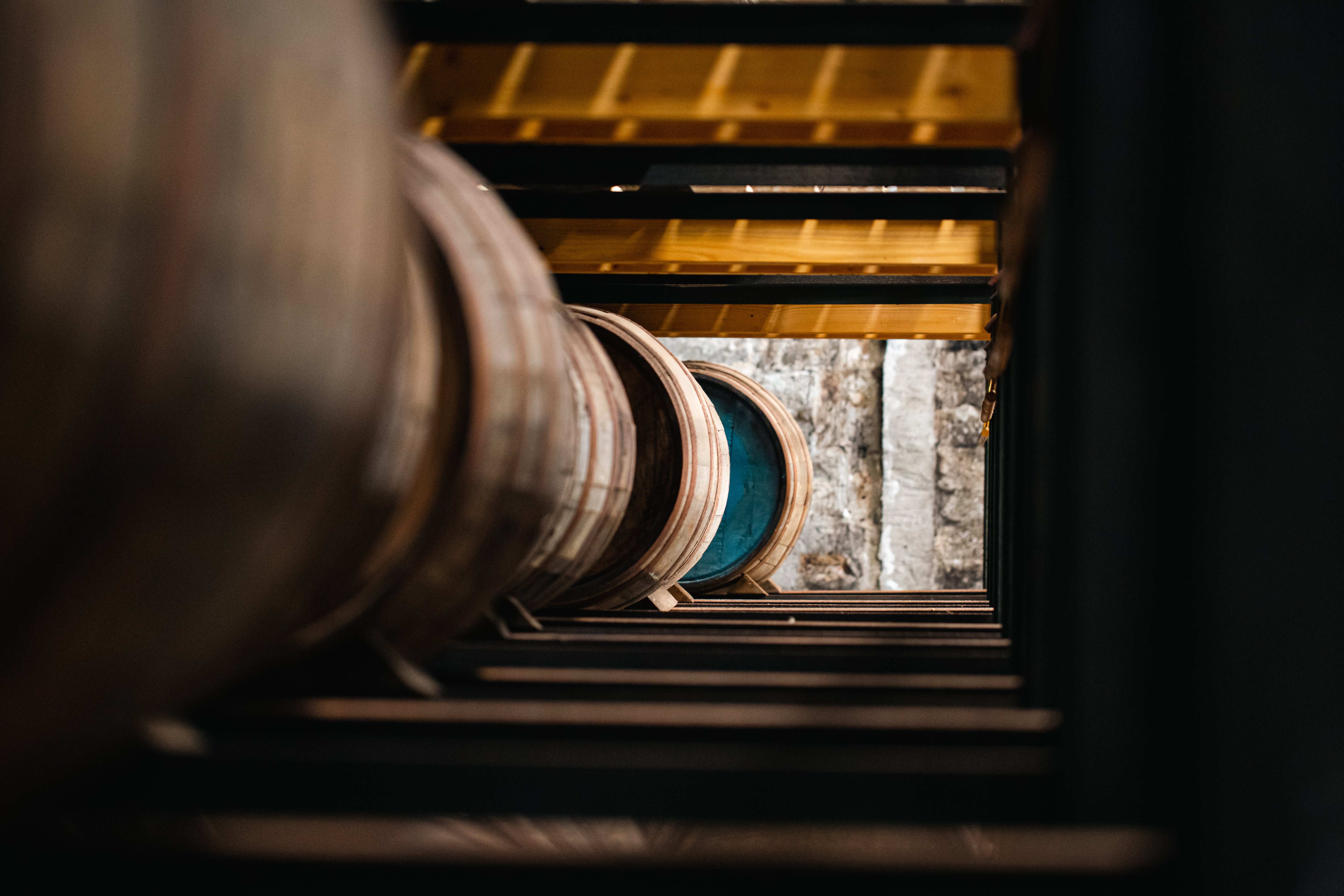 Barrels in a row at Scapa distillery