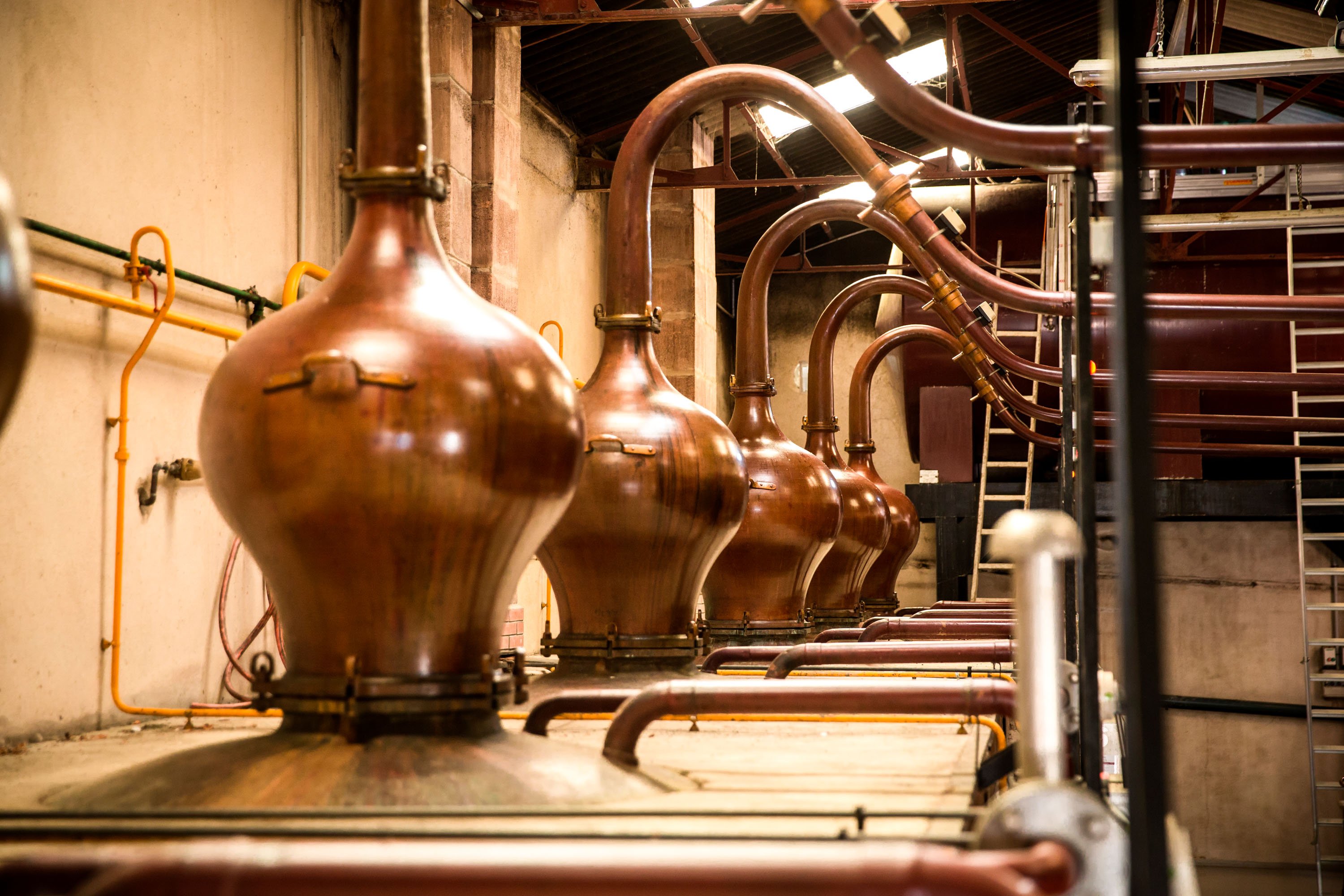 Alembic stills at Maison Ferrand