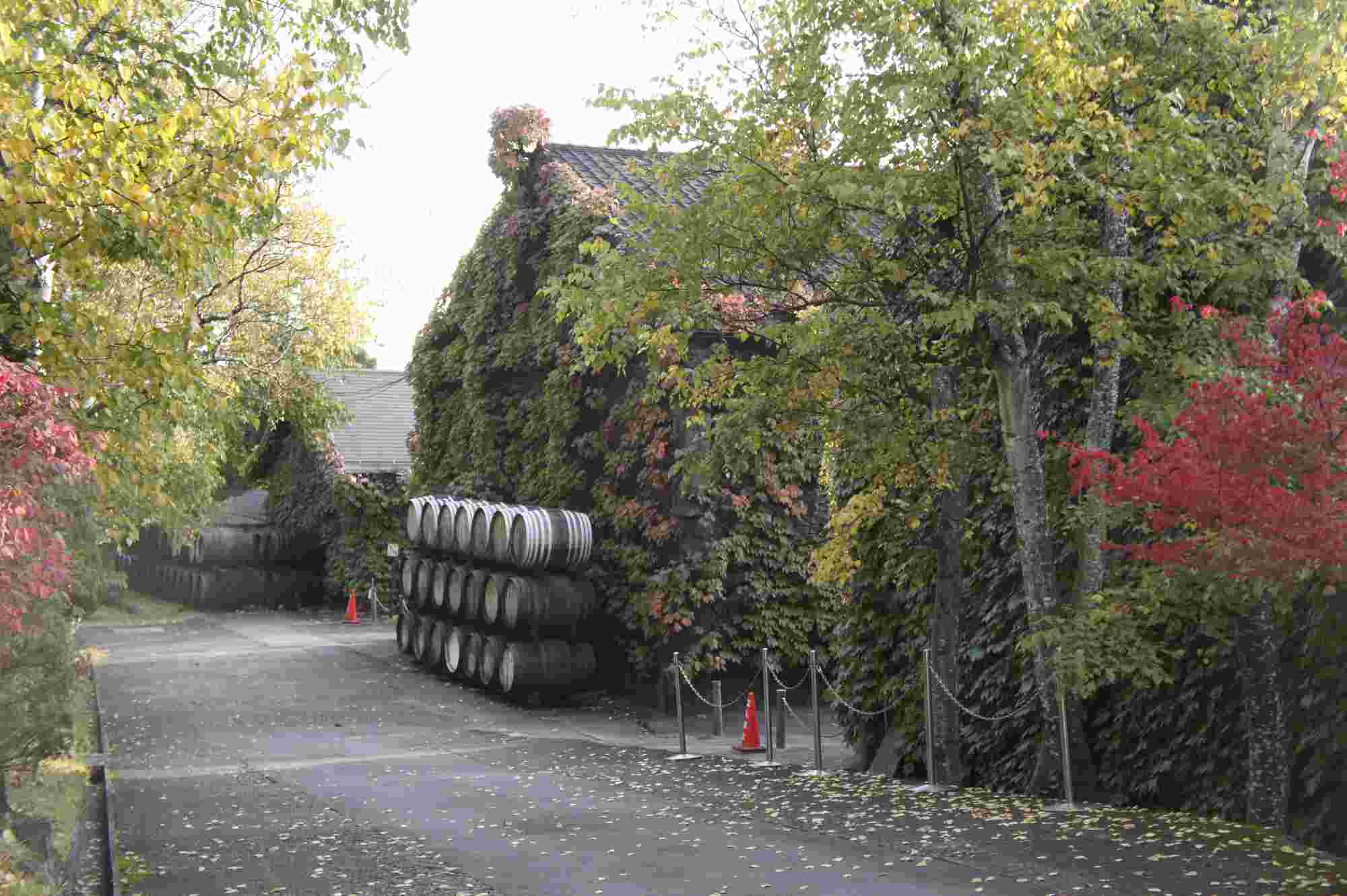 Karuizawa Distillery covered in ivy