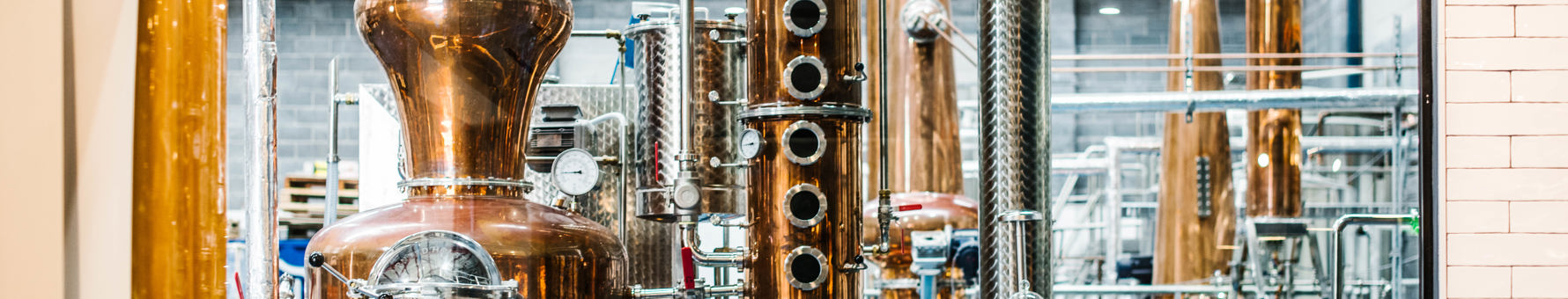 The stills at Manly Spirits