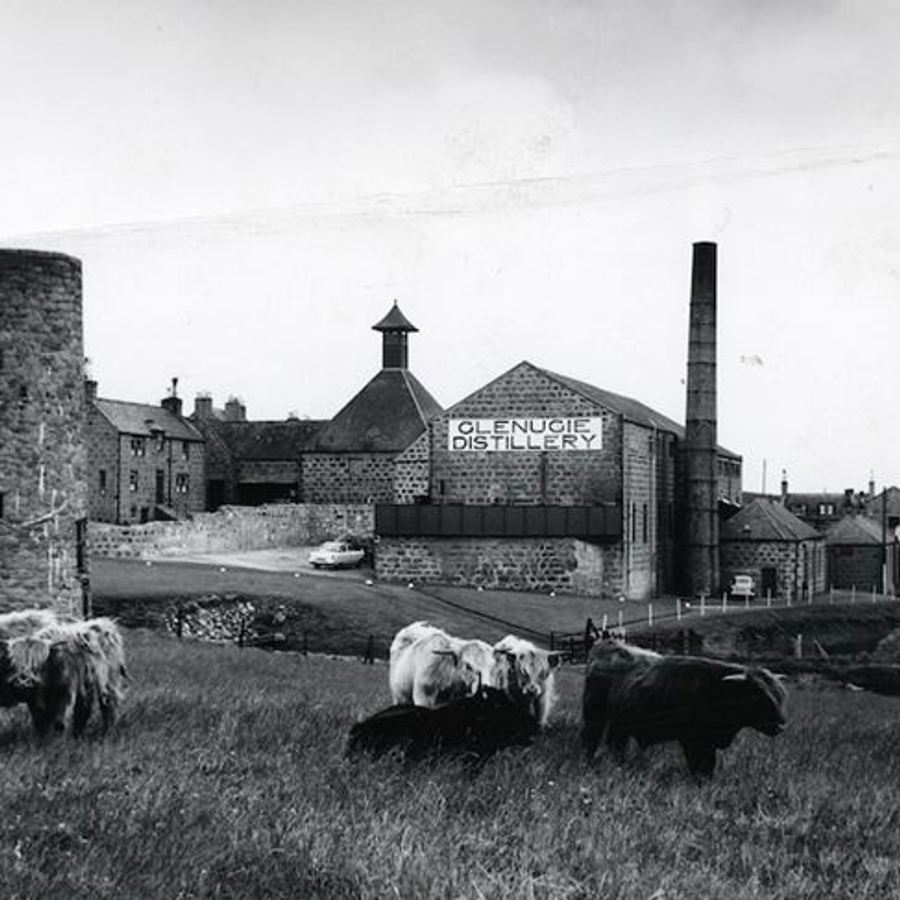 Glenugie distillery ceased operations in 1983 and its whiskies have since become highly collectable