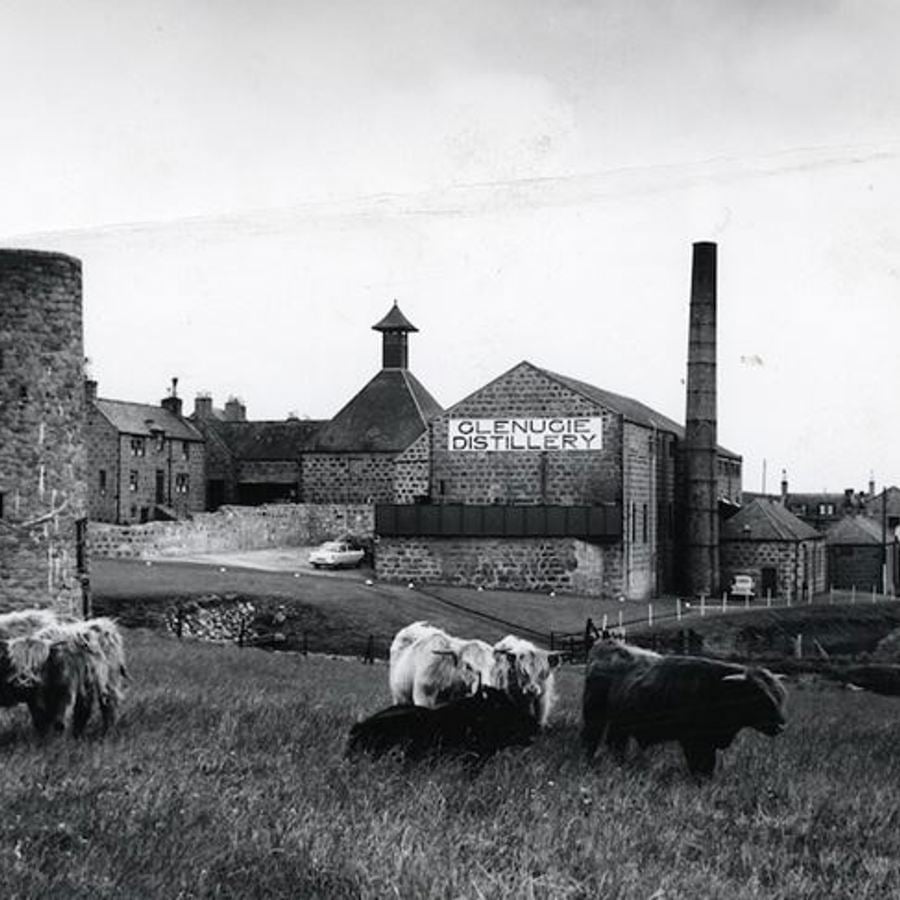 Glenugie distillery ceased operations in 1983 and its whiskies have since become highly collectable