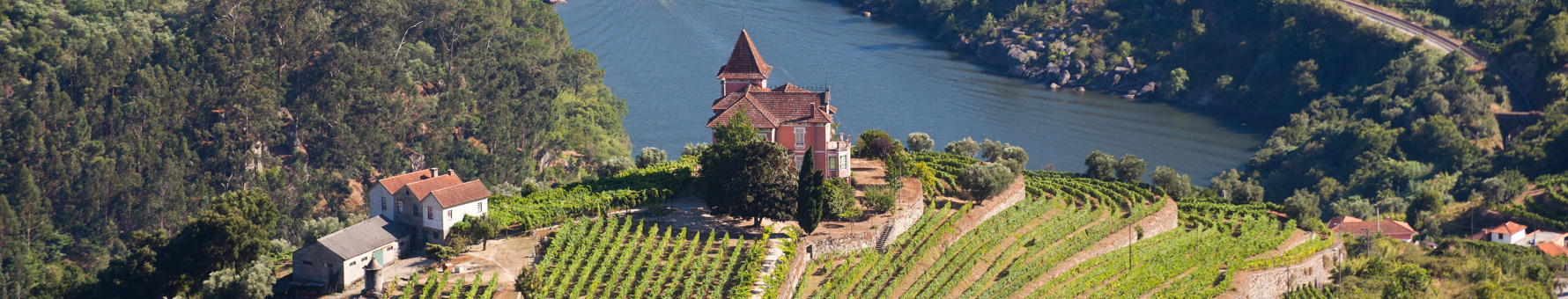 A quinta surrounded by vineyards in the Douro Valley