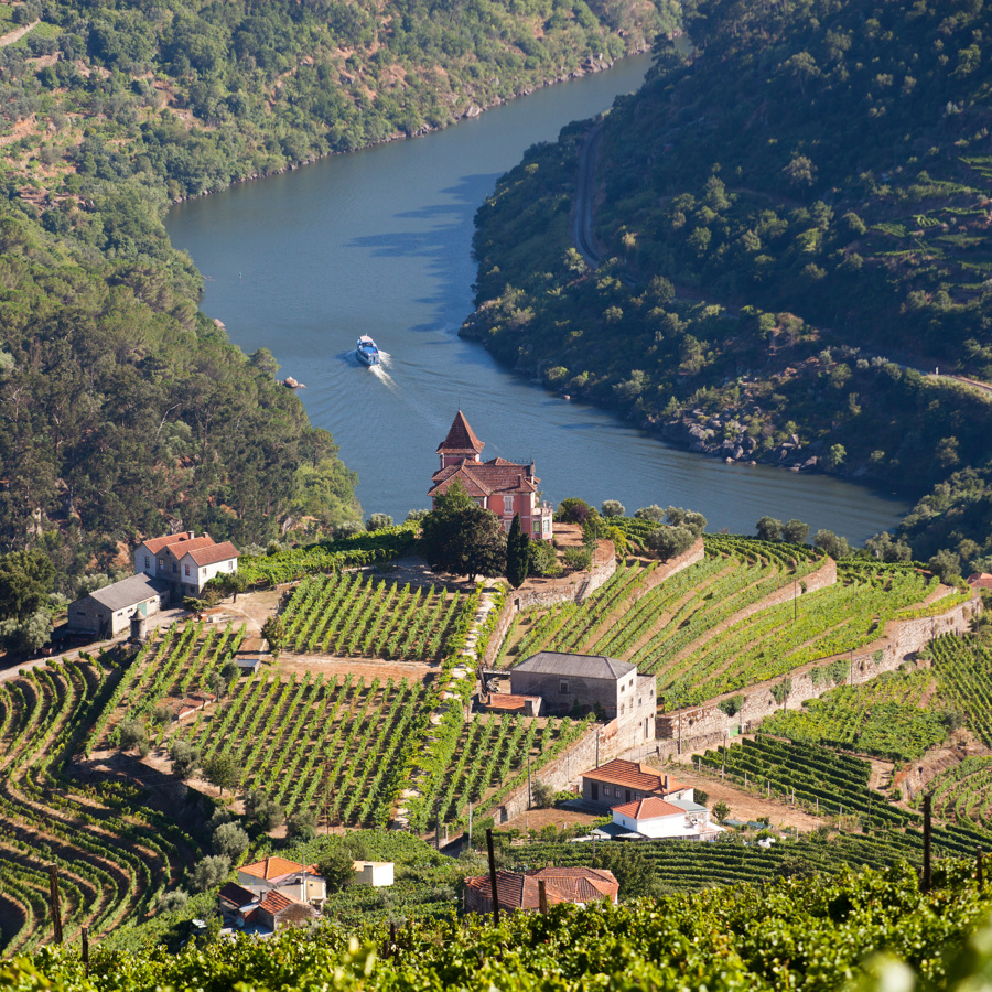 A quinta surrounded by vineyards in the Douro Valley
