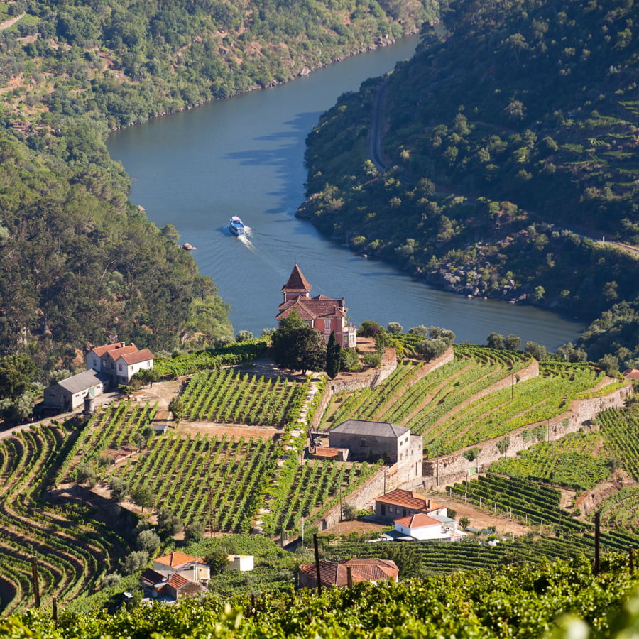 A quinta surrounded by vineyards in the Douro Valley