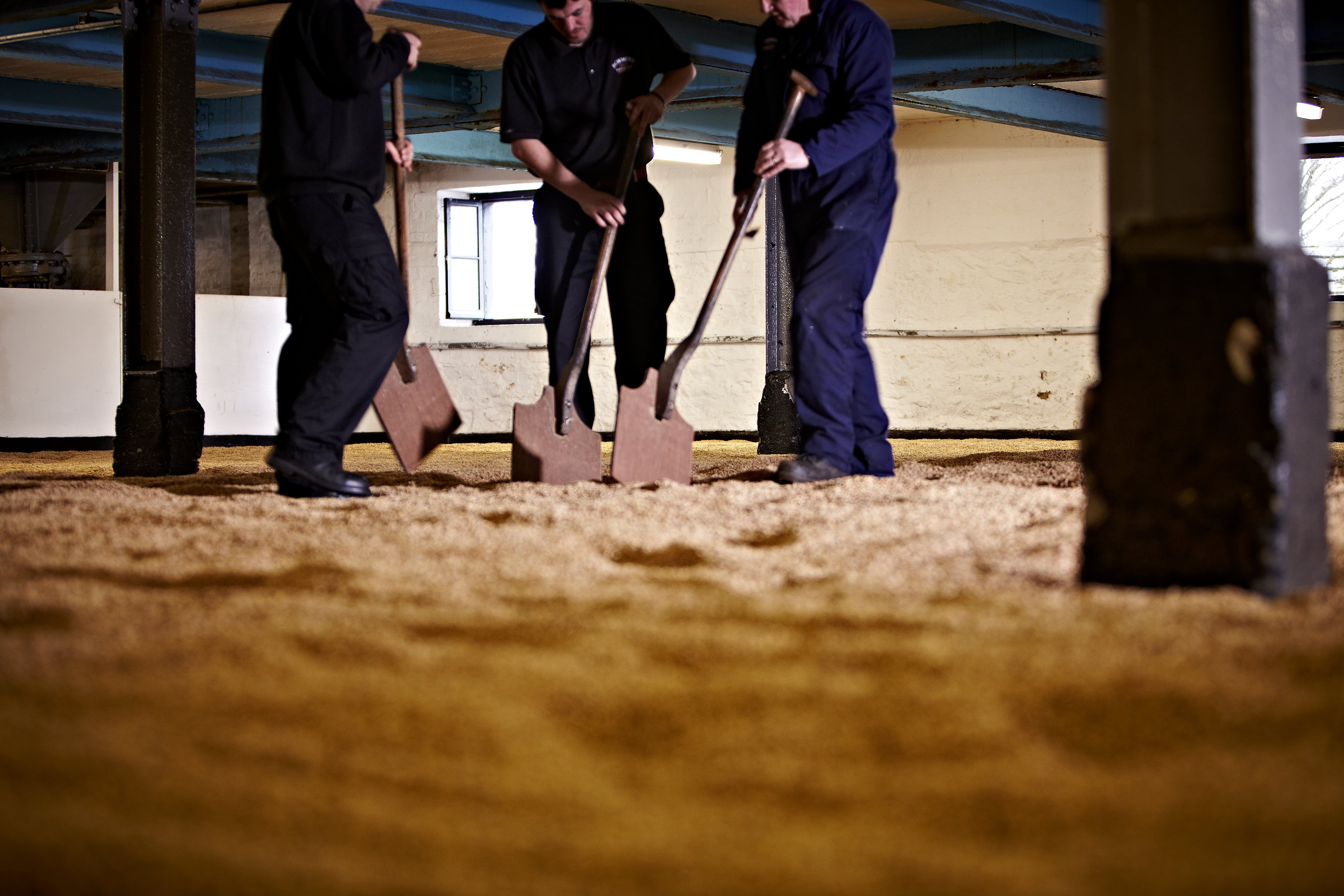 Traditional floor malting at Bowmore